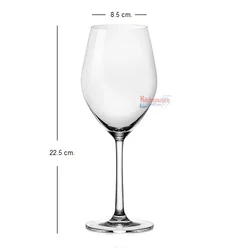 Sante Flute Champagne 210cc ซานเต้ ฟรุท แชมเปญ (ราคายกโหล) โอเชี่ยนกลาส