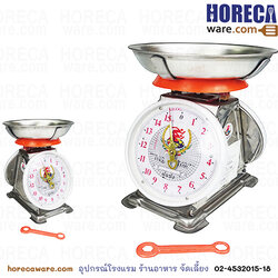 Stainless steel scale 15 kg. Blue light