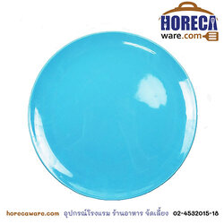 จานสเต็ค 10 นิ้ว รุ่นประหยัด สีฟ้า รุ่งจานดี**งดจัดส่ง** [rg-601-01]