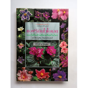 แอฟริกันไวโอเลต