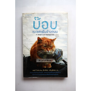 บ๊อบ แมวเตะฝันข้างถนน