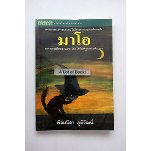 มาโอ การผจญภัยของแมว(ไม่)โง่ กับพ่อมดระดับ 71