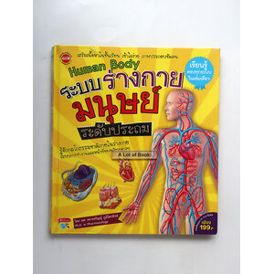 ระบบร่างกายมนุษย์ ระดับประถม