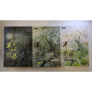 ครึ่งปีศาจซือเถิง (3 เล่มจบ )