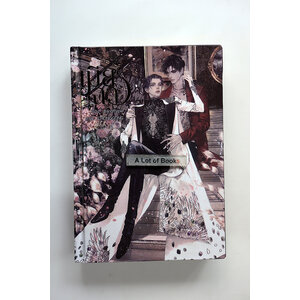 เมียฉาว (ปกแข็ง)