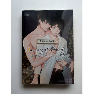 one night stand ชั่วข้ามคืน ตลอดไป