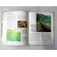The Amazon rain forest and its poeple