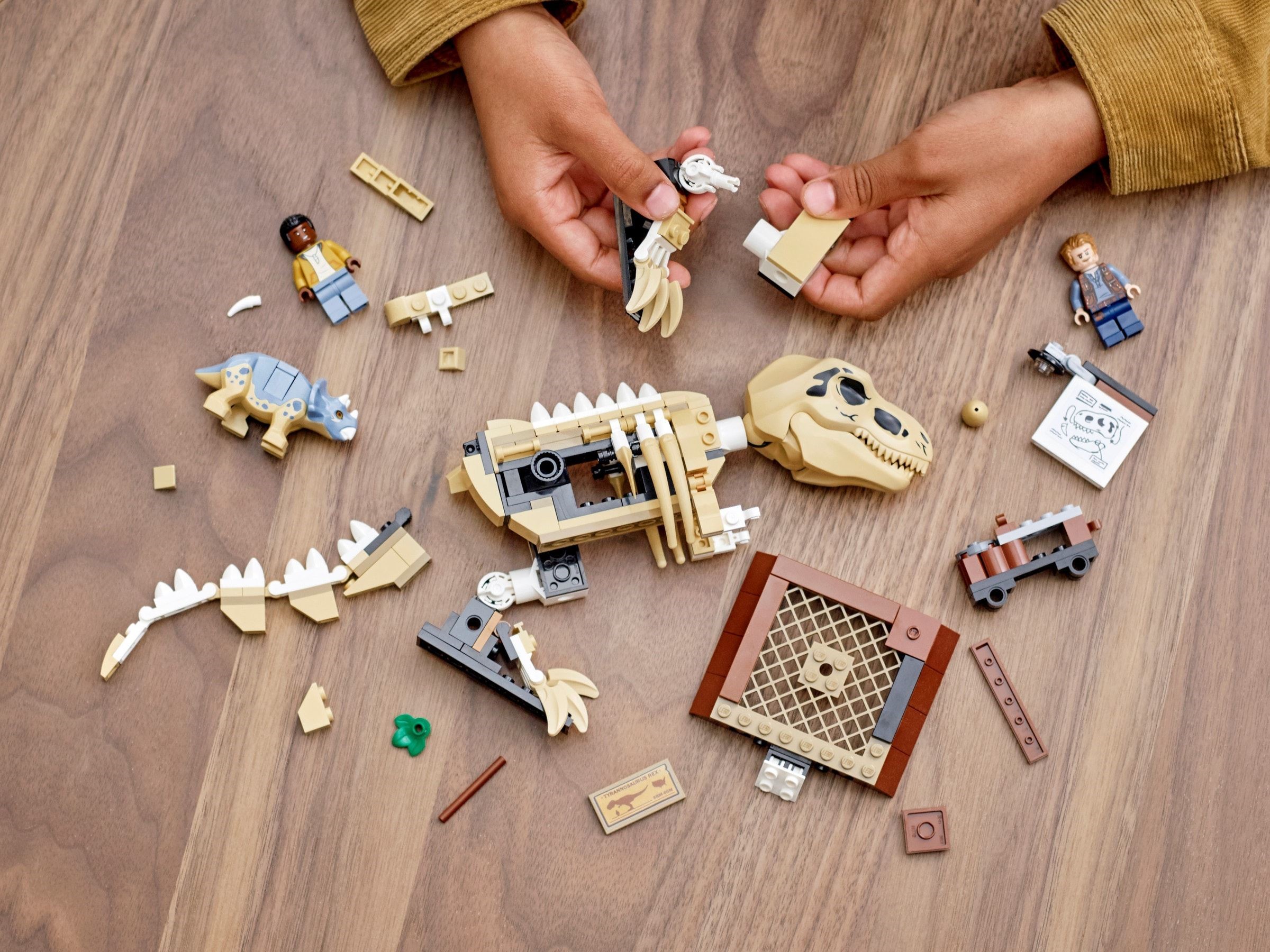 LEGO JURASSIC WORLD เลโก้ 76940 T. rex Dinosaur Fossil Exhibition