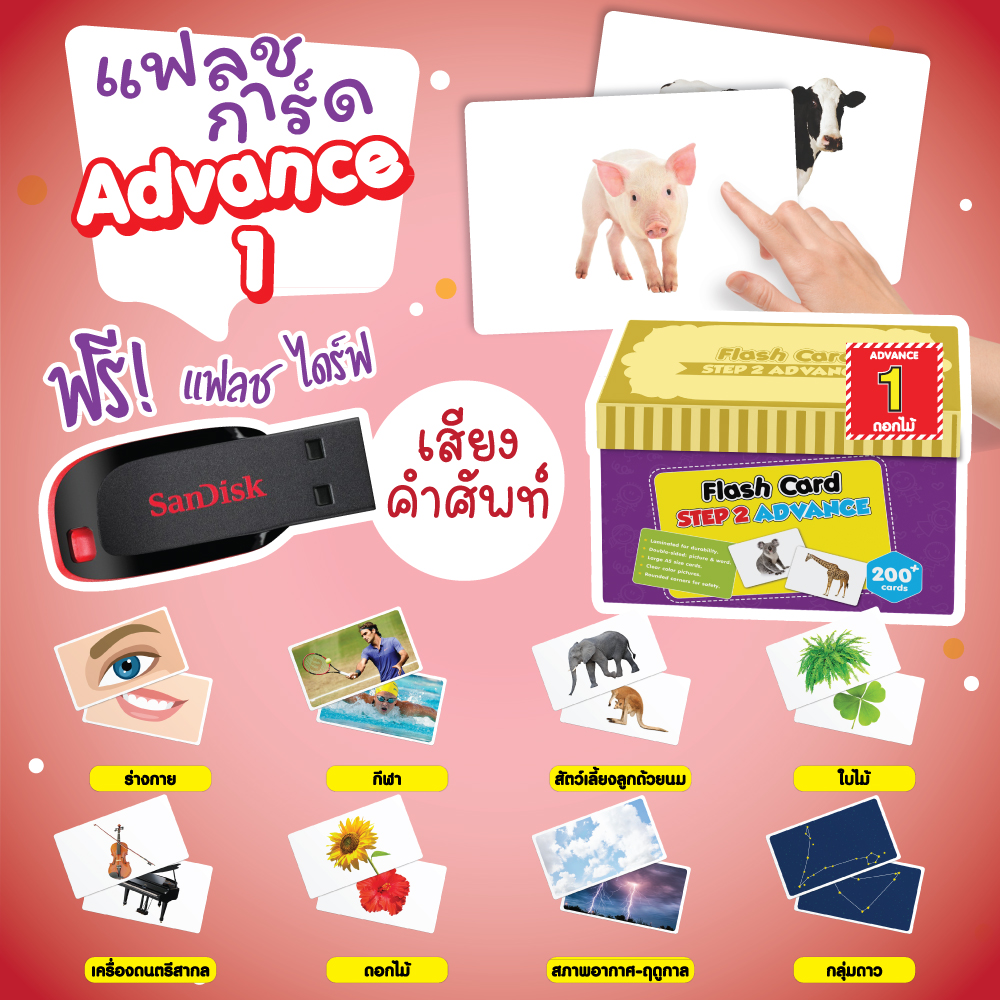 แฟลชการ์ด แถม USB (Boxset)