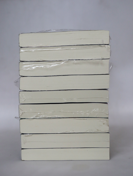 กี่ภพกี่ชาติก็ยังเป็นเธอ (9 เล่มจบ)