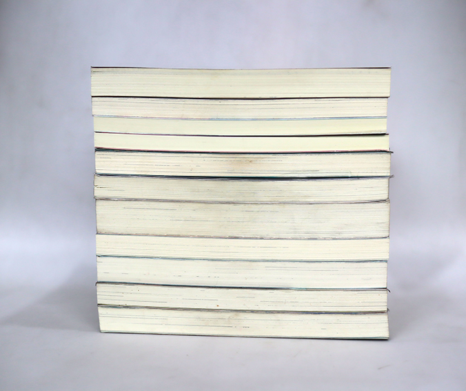 นิยายแจ่มใส เลิฟซีรี่ย์ - เจ้าหญิงผู้เลอโฉม