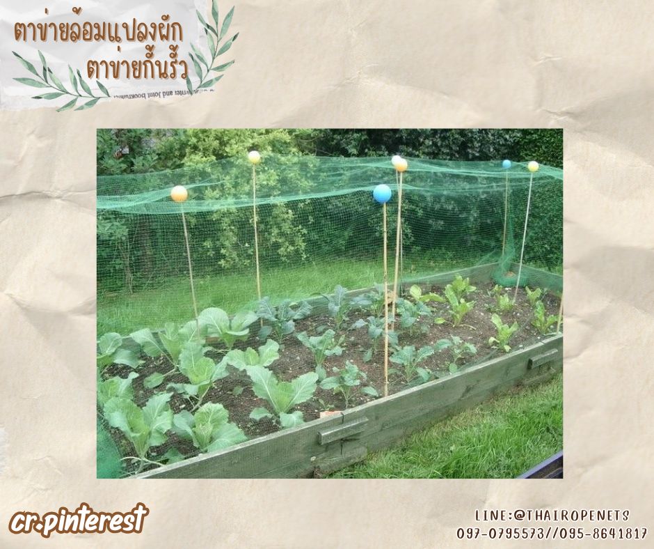 ตาข่ายล้อมแปลงผัก สีฟ้าอมเขียว เชือกหนาพิเศษ 2.5 มิล ช่องตา 2x2 cm.ตาข่ายกั้นเขตรั้ว รับทำตามขนาดที่ต้องการ
