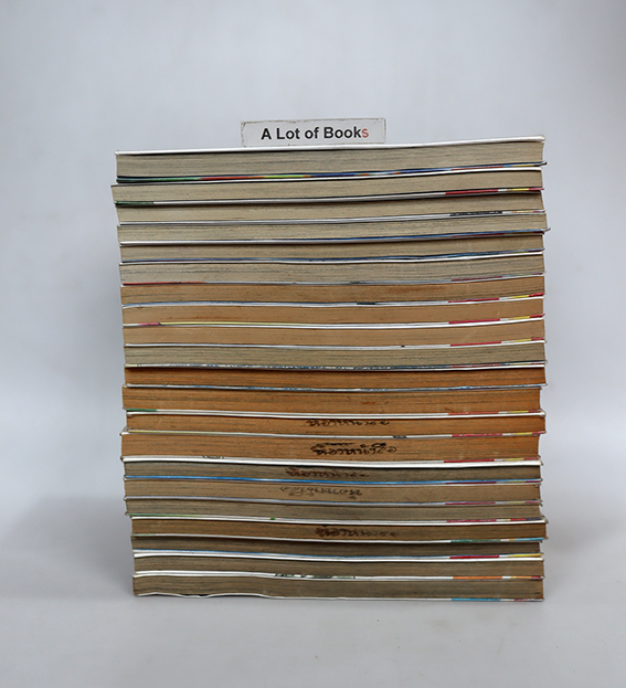 ซึบารุ สิงห์น้อยนักกอล์ฟ ( 21 เล่มจบ )