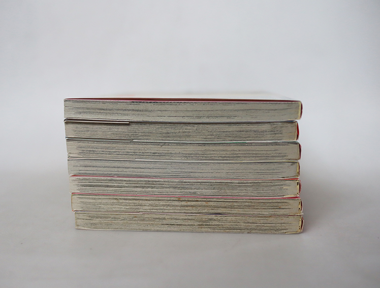 Midnight secretary มิดไนท์ เซคริเทอรี่ ( 7 เล่มจบ )