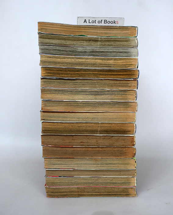 ตำนานหน้ากากมด Masked Riders ( 16 เล่มจบ )