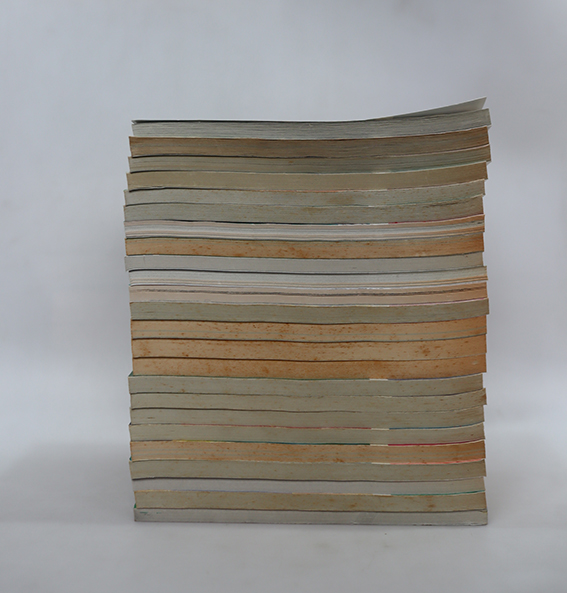 โดเรมอน ชุดพิเศษ ( 24 เล่มจบ )