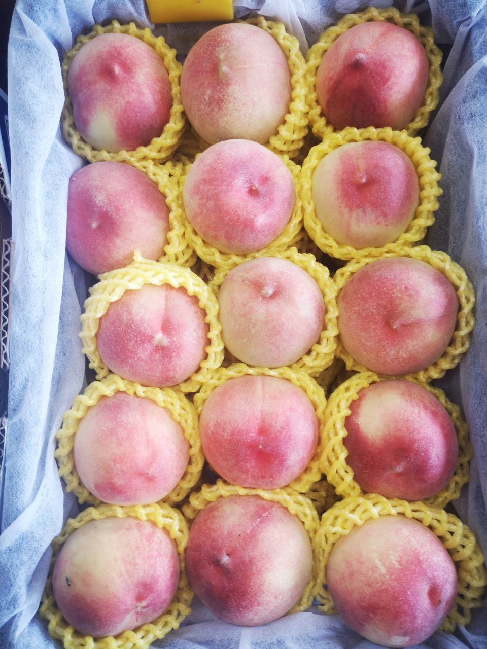 พีชสีชมพู นำเข้าจากญี่ปุ่น