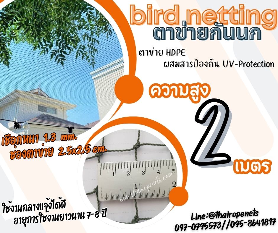 ตาข่ายกันนก สีเขียวขี้ม้า bird netting ความสูง 2 เมตร รุ่นเชือกหนา 1.3 มิล ช่องตา 2.5 cm. กดเลือกความยาวตามต้องการได้เลยค่ะ