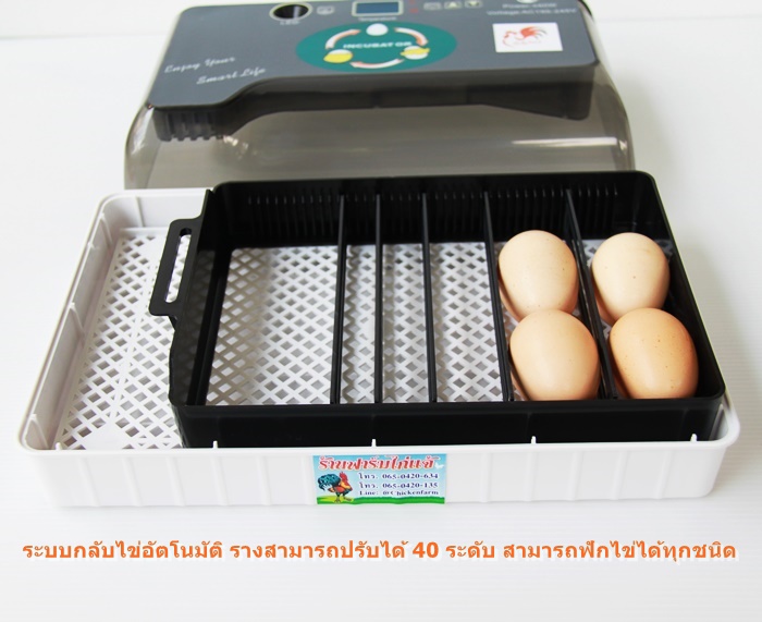 เครื่องฟักไข่อัตโนมัติ 12/35 ฟอง ตู้ฟักไข่ ตู้อบไข่ ฟักไข่ได้หลายขนาด ไข่ไก่ ไข่ห่าน ไข่นกกระทา