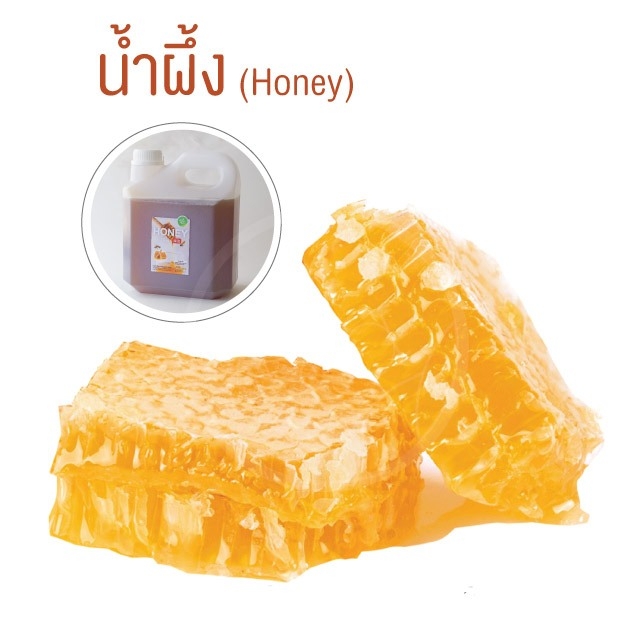 น้ำผึ้งแกลอน 4 กิโลกรัม น้ำผึ้งเกสรดอกไม้ป่า น้ำผึ้ง แท้ เดือนห้า Honey น้ำผึ้งป่า เครื่องดื่ม ตรา ทีอีเอ
