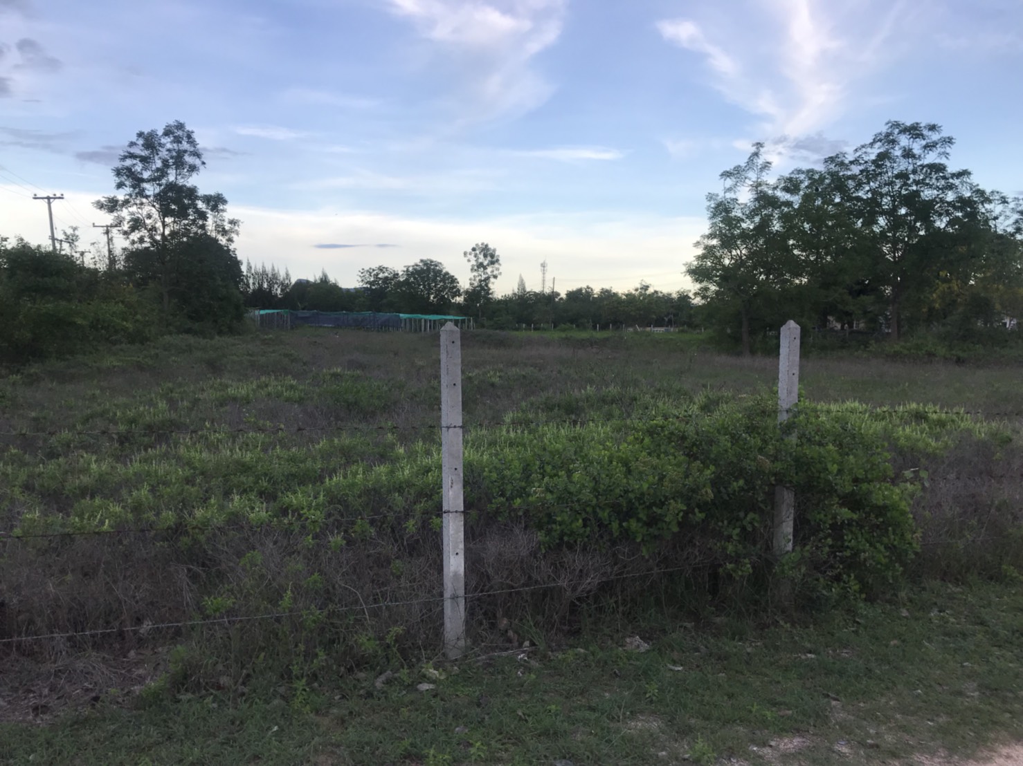 ขายด่วน!!!ที่ดินเปล่า 2 ไร่ โครงการ เค.วี.แลนด์