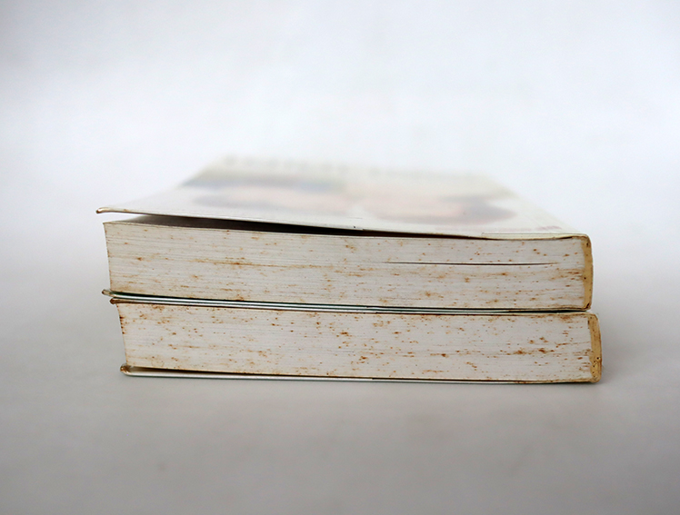 ภูชิชย์ นริศรา ( 2 เล่มจบ )