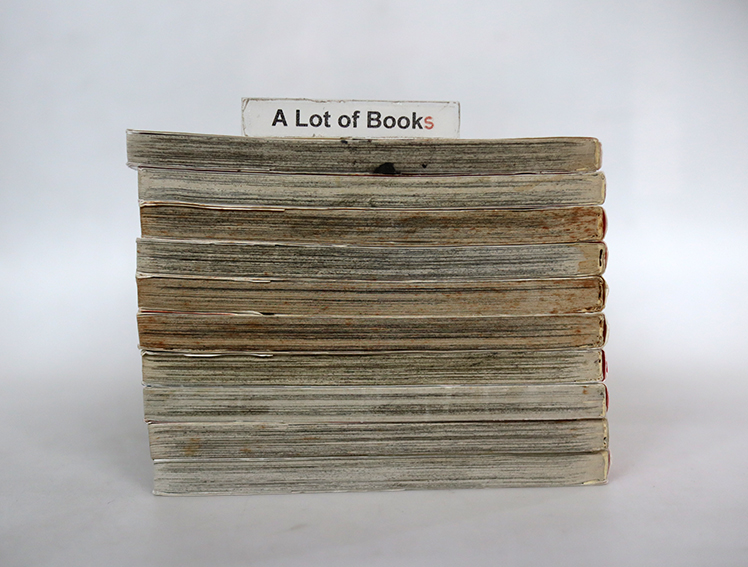 บทเรียนลับเกมหัวใจ ( 10 เล่มจบ )