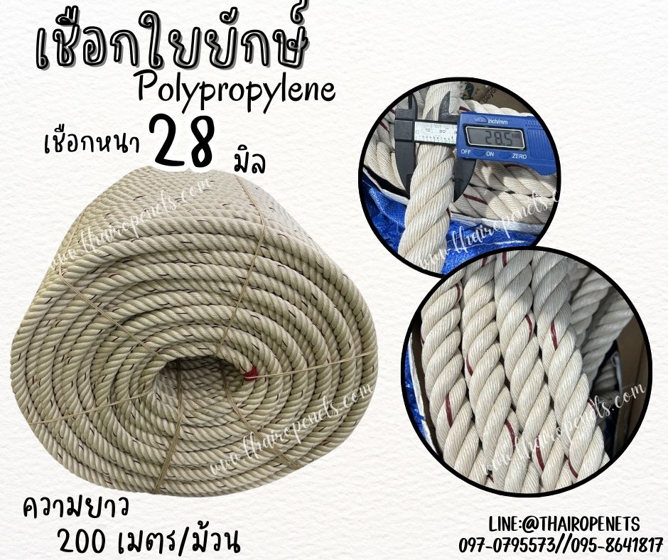 เชือกใยยักษ์ Polypropylene ขนาด 28 มิล เชือกเส้นใยเหนียว เกรดA ไม่ขาดง่าย ไม่หลุดลุ่ย ทนแรงดึงได้ดี พร้อมส่ง