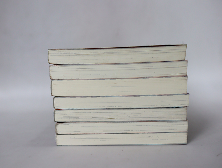 นิยายแจ่มใส เลิฟซีรี่ย์ มิลล์พลัส