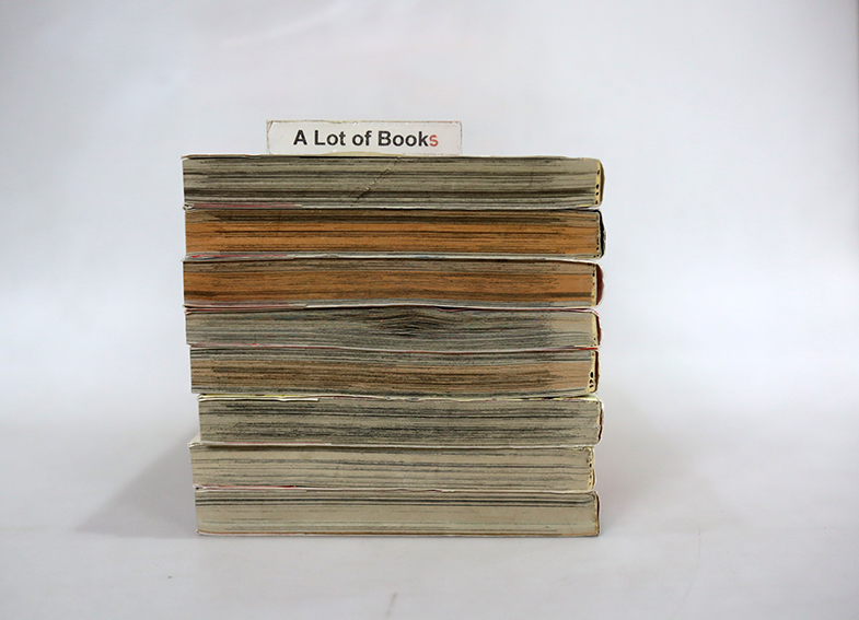 ES เอส ( 8 เล่มจบ )