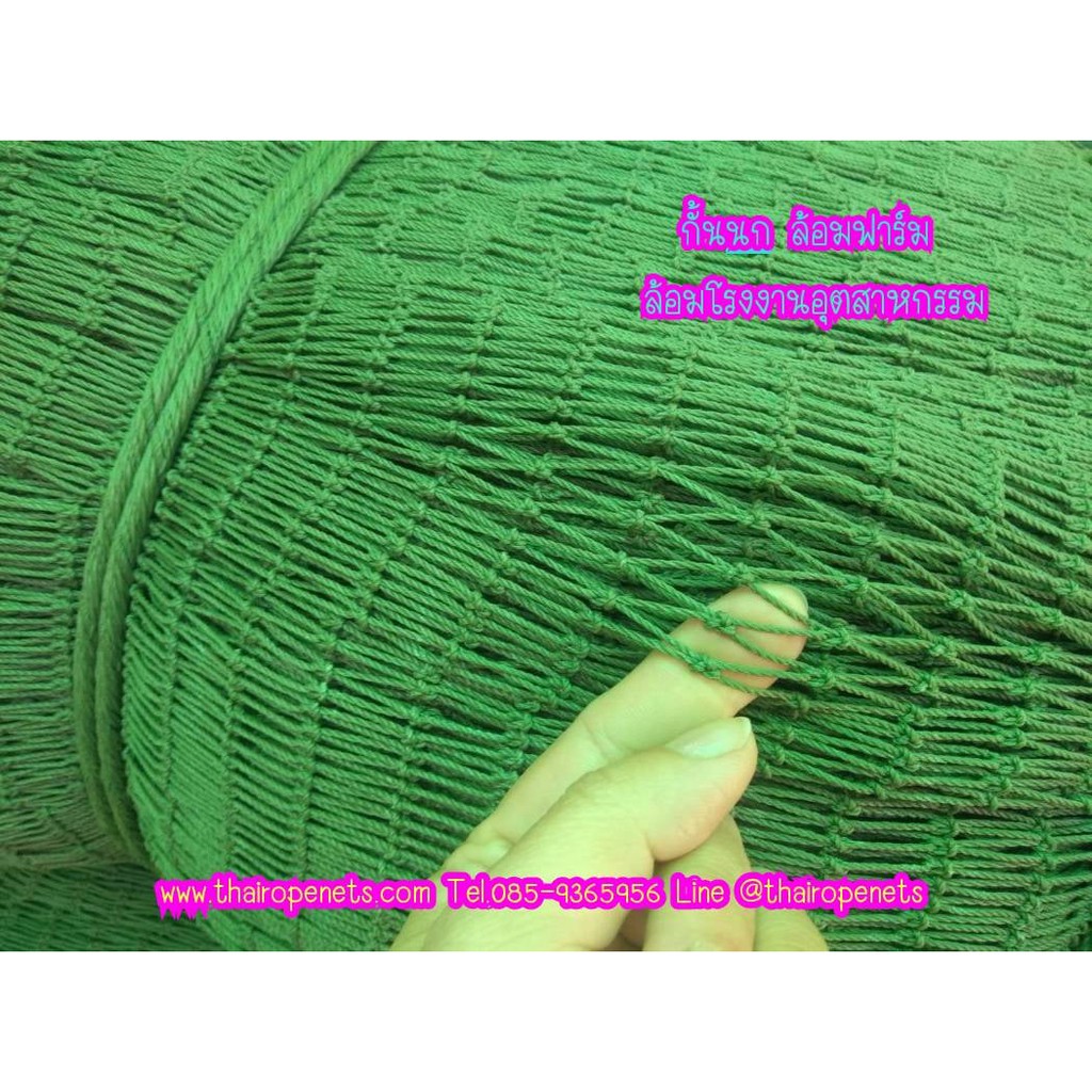ตาข่ายล้อมโรงงานอุตสาหกรรม กันนก ล้อมฟาร์มสุกร ยกม้วน 160 ตร.ม. ขนาด 1.3 mm. ช่องตา 2 x 2 cm. สีเขียวขี้ม้า