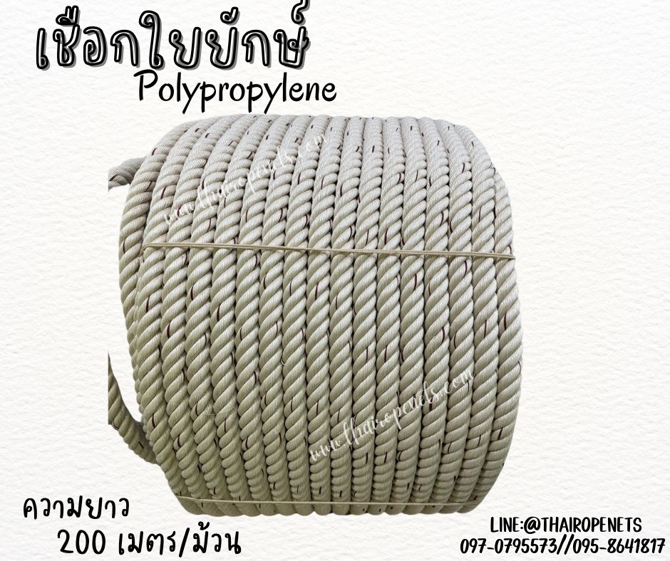 เชือกใยยักษ์ Polypropylene ขนาด 28 มิล เชือกเส้นใยเหนียว เกรดA ไม่ขาดง่าย ไม่หลุดลุ่ย ทนแรงดึงได้ดี พร้อมส่ง
