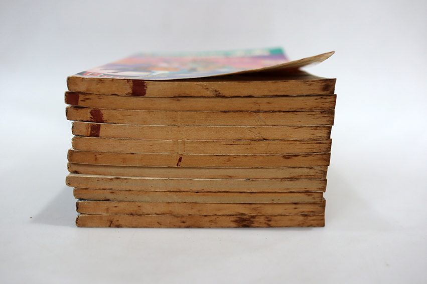 ฤทธิ์วิชชุม่วง ( 11 เล่มจบ )