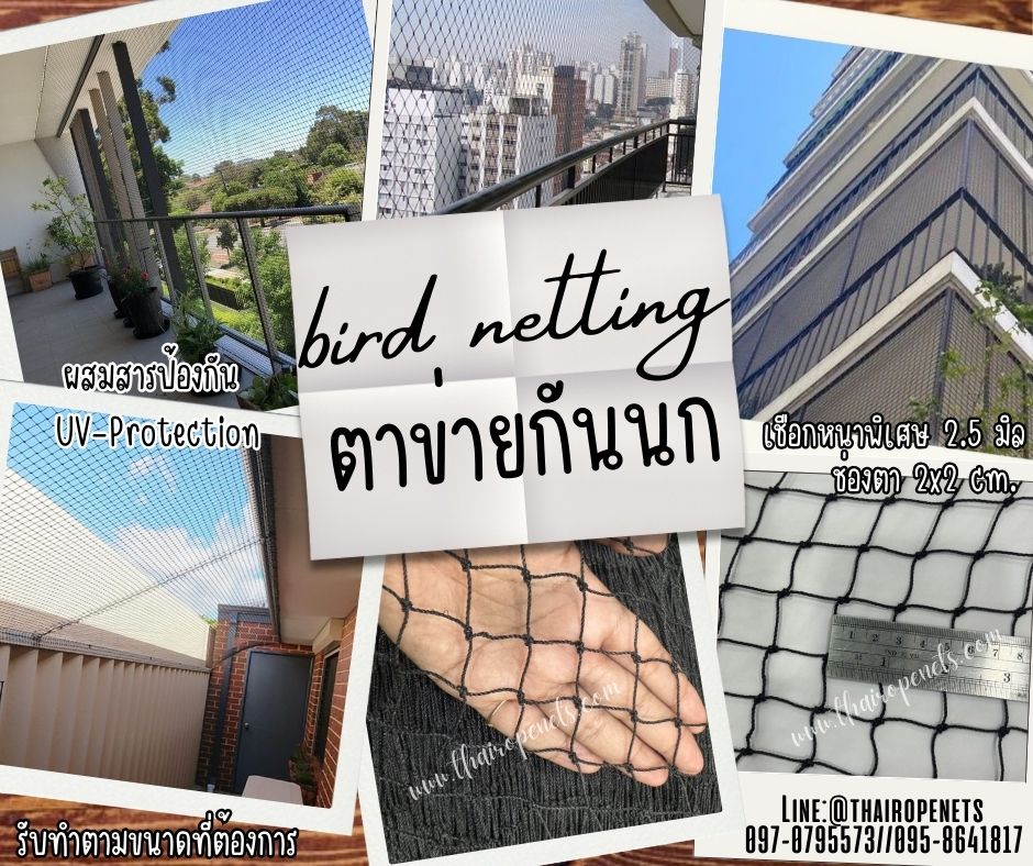 ตาข่ายกันนกเข้าแปลงผัก เข้าสวน bird netting สีดำ เชือกหนา 1.3 มิล ช่องตา1x1 นิ้ว ตาข่ายกันนกเข้าในตึก ในอาคาร ทำตามขนาดที่ต้องการ