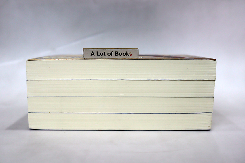 ขลุ่ยครองฟ้า ( 4 เล่มจบ )