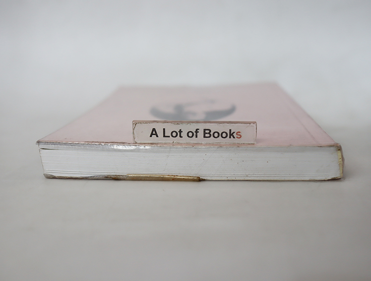 ชีวิตในวัง เล่ม 2