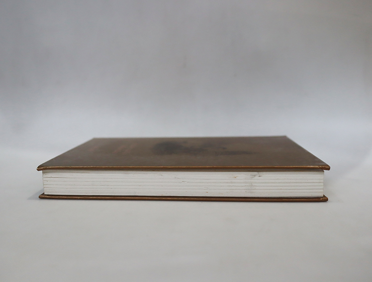 บารมีพระแม่ป้อง ปกพื้นธรณิน ( ปกแข็ง )