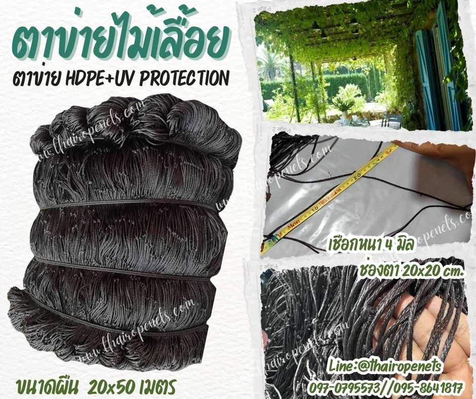 ตาข่ายตกแต่งสวน ตาข่ายค้างผัก ตาข่าย HDPE ขนาดผืนใหญ่ ยกม้วน 20x50 เมตร ผสมสารป้องกัน UV ใช้งานได้ยาวนาน