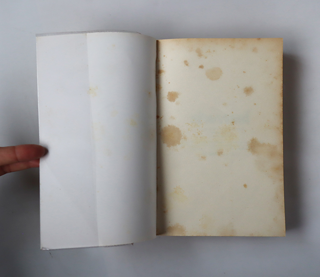 เถ้าอารมณ์