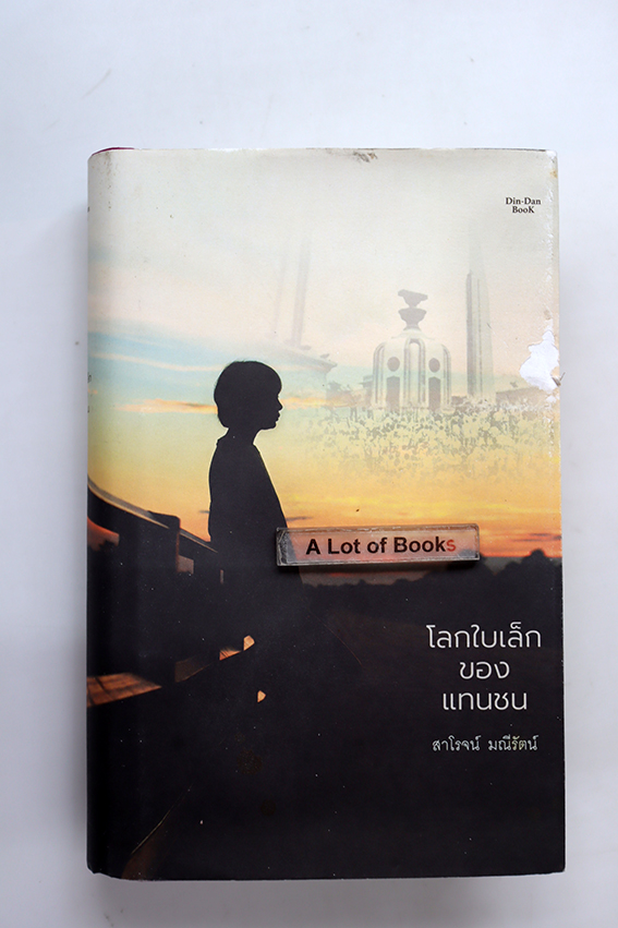 โลกใบเล็กของแทนชน