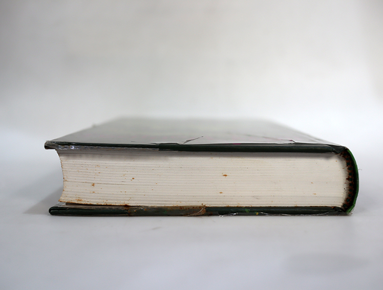 แฮร์รี่พอตเตอร์ กับเจ้าชายเลือดผสม (ปกแข็ง เล่ม 6 )