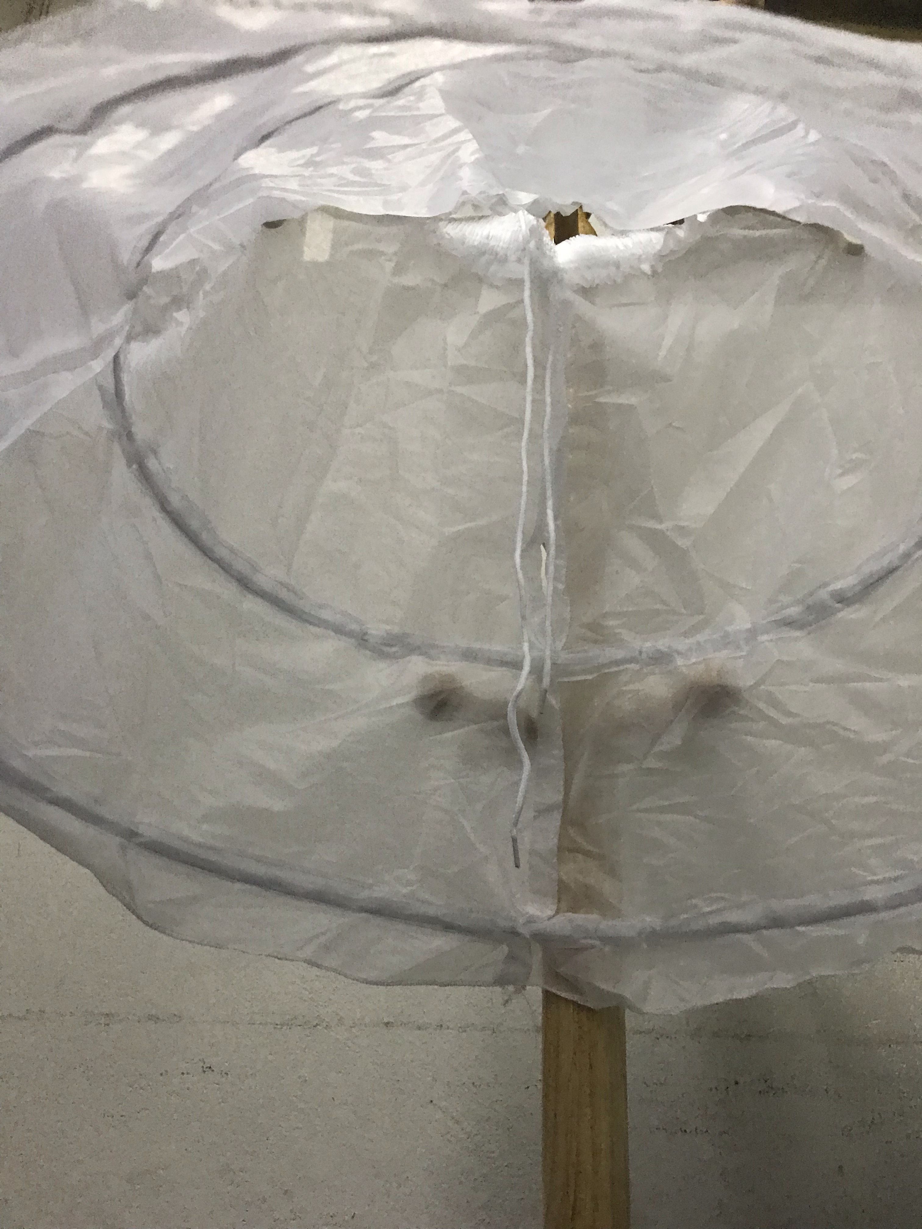 กระโปรงสุ่มซับ2ชั้น ชั้นในมีห่วงสองชัั้นชั้นที่1ยาว 9นิ้ว ชั้นที่2 ยาว 8 นิ้ว สามารถปรับขนาดห่วงให้เล็กลงได้ ห่วงยืดหยุ่นพับเก็บได้ง่าย เอวฟรีไซส์ก่อนยืด20-ยืดแล้ว38/ความยาวกระโปรง18นิ้ว