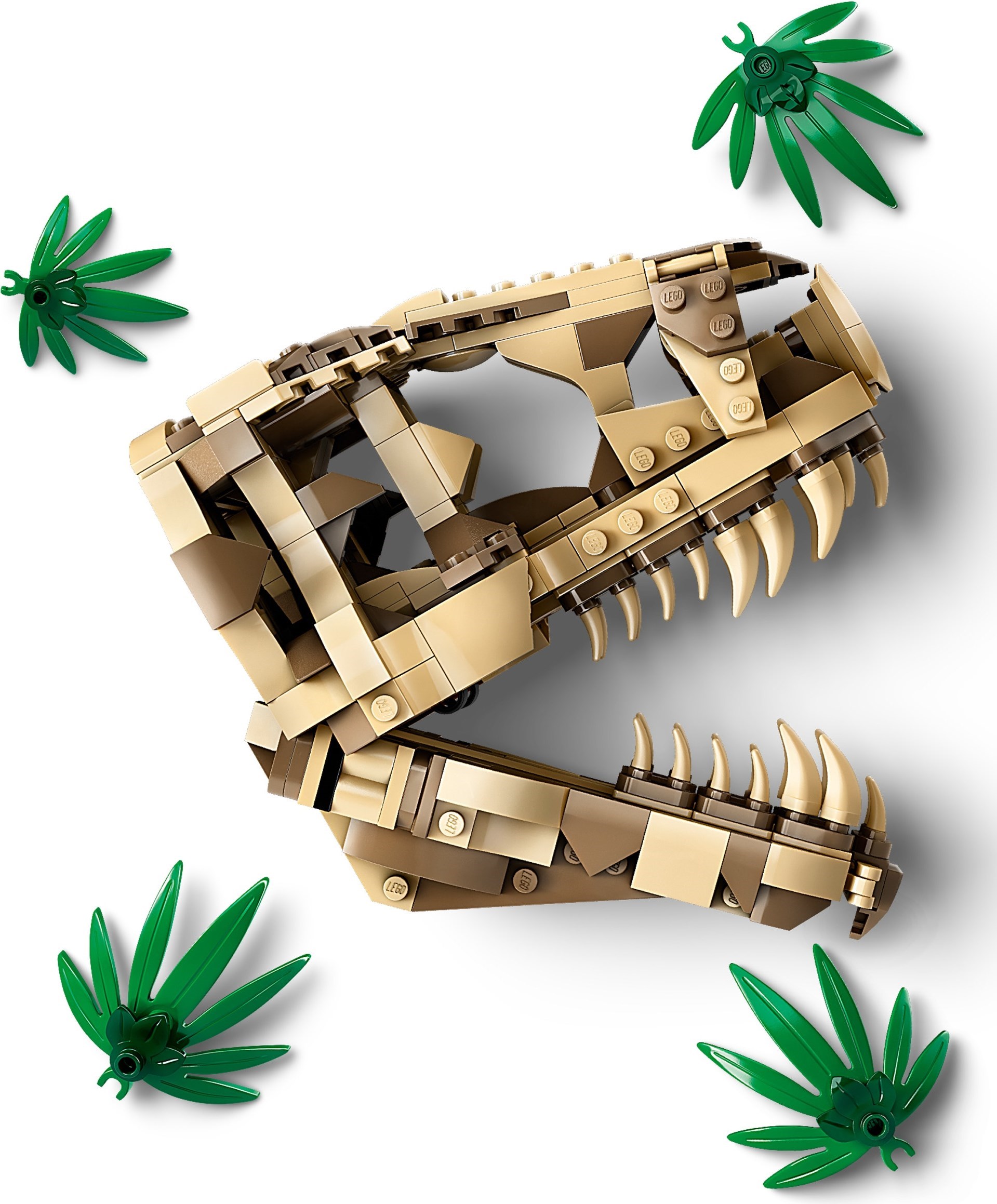 LEGO Jurassic World เลโก้ 76964 Dinosaur Fossils: T. rex Skull