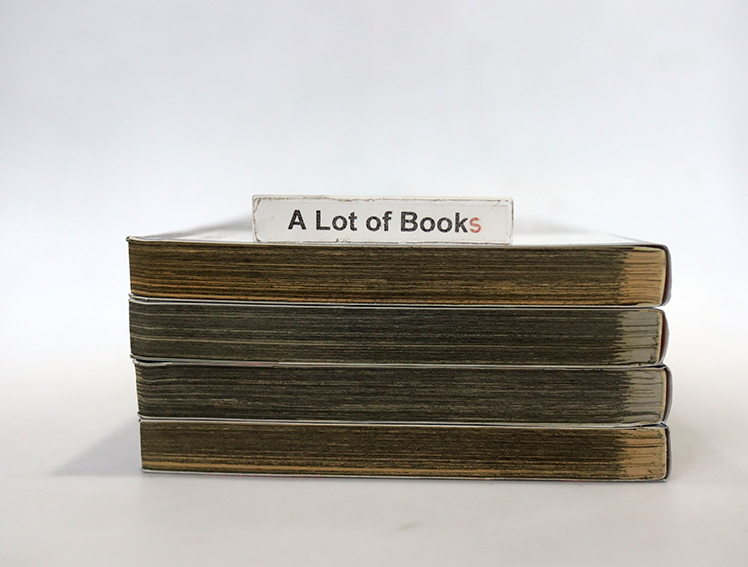 ปิดเมืองล่า ฆ่าล้างเมือง ( 4 เล่มจบ )