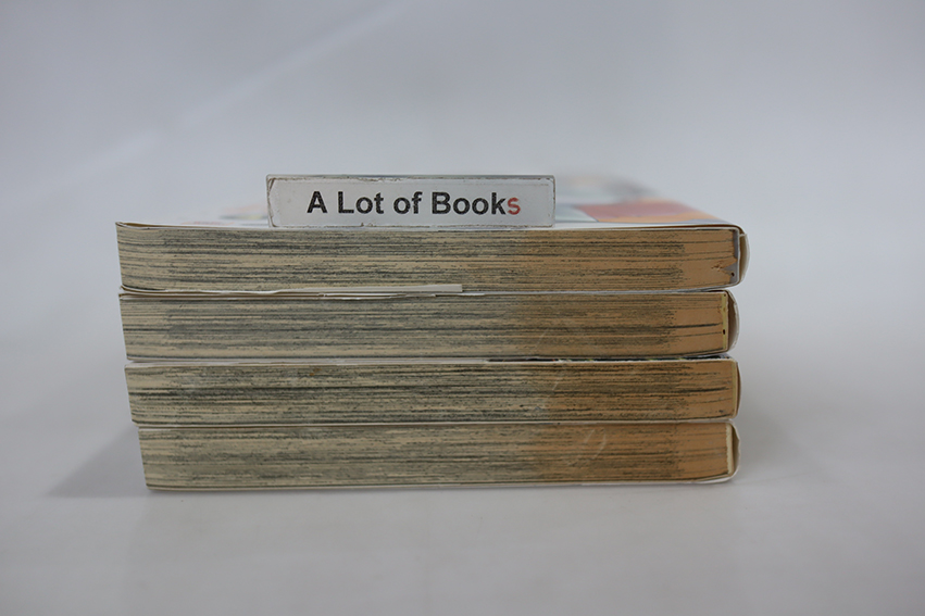 ฝ่าฝันโลกมายา (4 เล่มจบ )