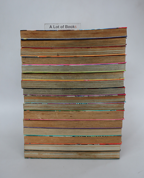 กลมกลิ้งสิงห์ปิงปอง ( 16 เล่มจบ )