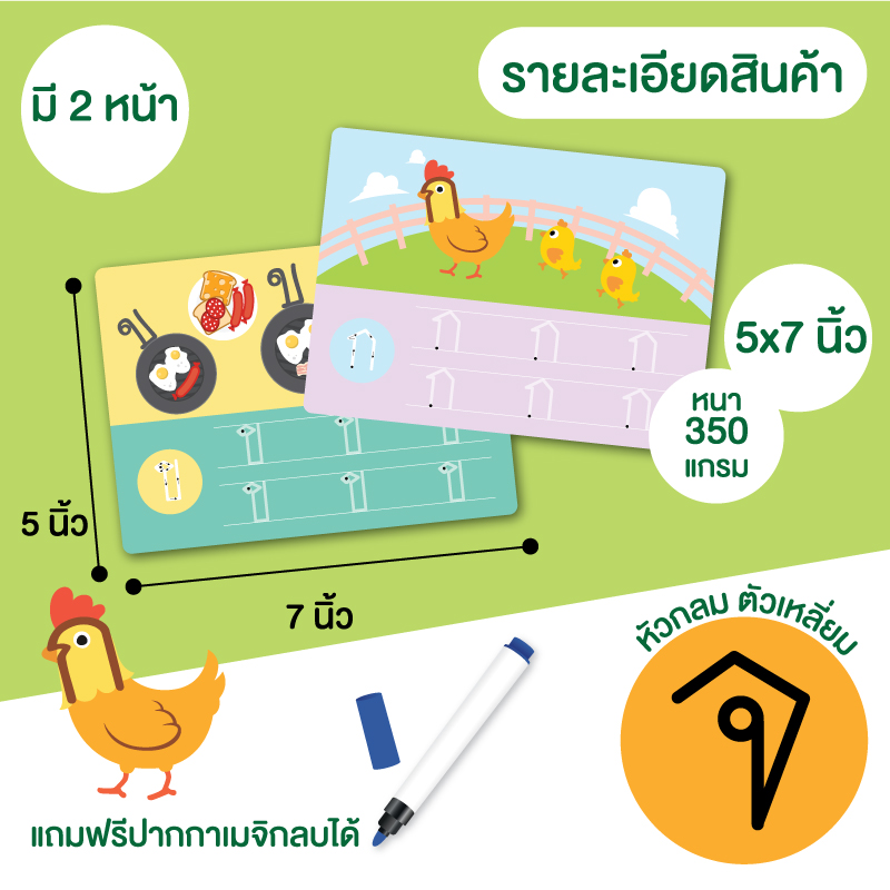 การ์ดกิจกรรม เขียนลบได้ (Wipe&Clean)