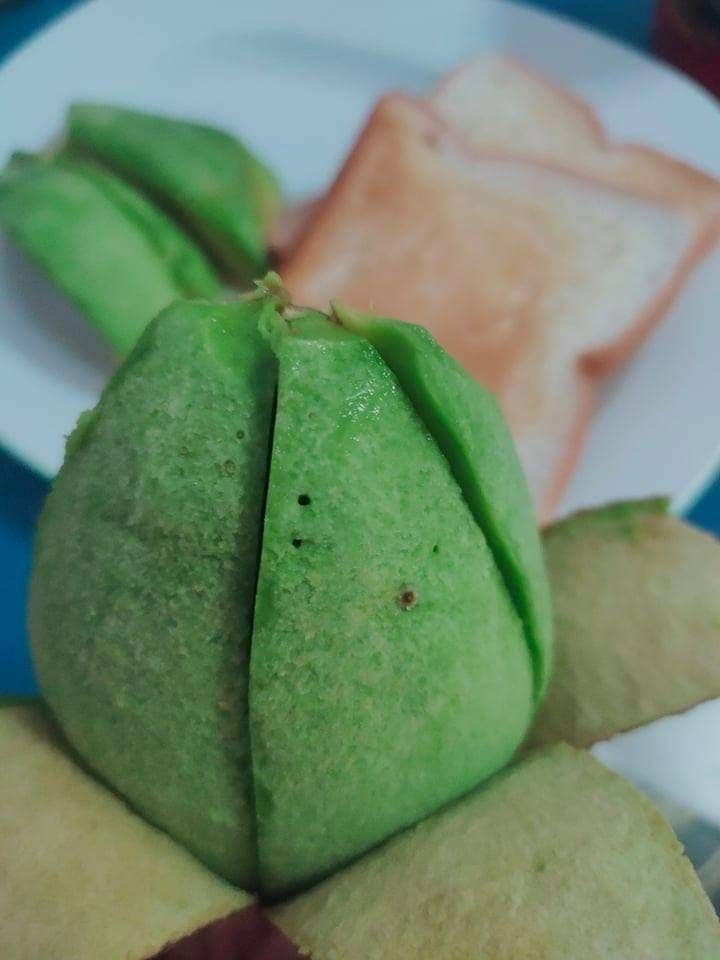 อะโวคาโด พื้นเมืองเชียงใหม่