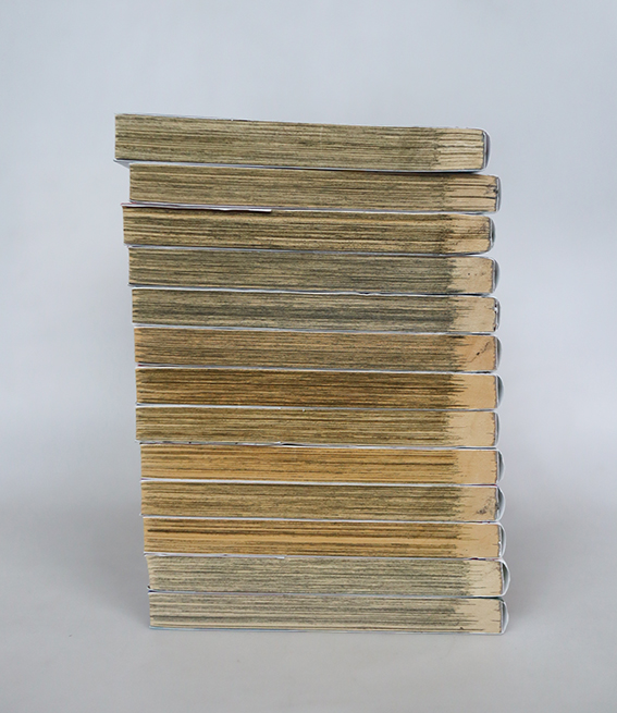 สุขาวดีอเวจี ( 13 เล่มจบ )