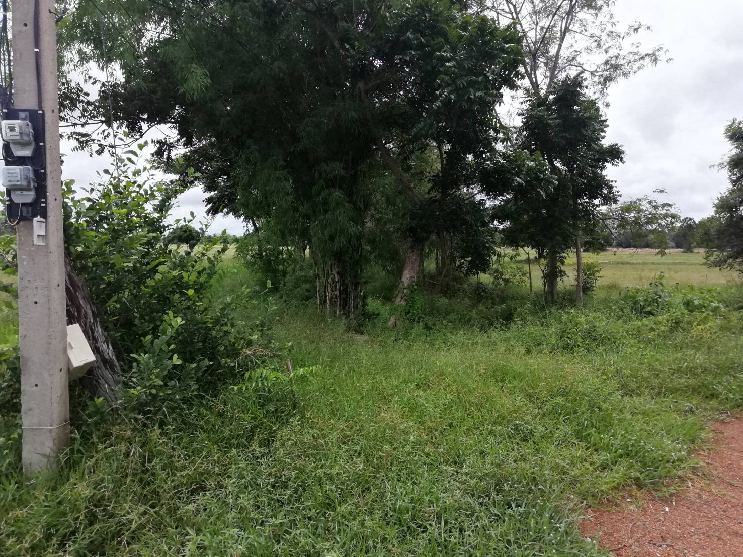 ขายที่ดิน ต.ท่าโพ อ.หนองขาหย่าง จ.อุทัยธานี มีเนื้อที่ทั้งหมด 3 แปลง ขายไร่ล่ะ 200,000 บาท